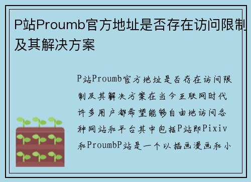 P站Proumb官方地址是否存在访问限制及其解决方案